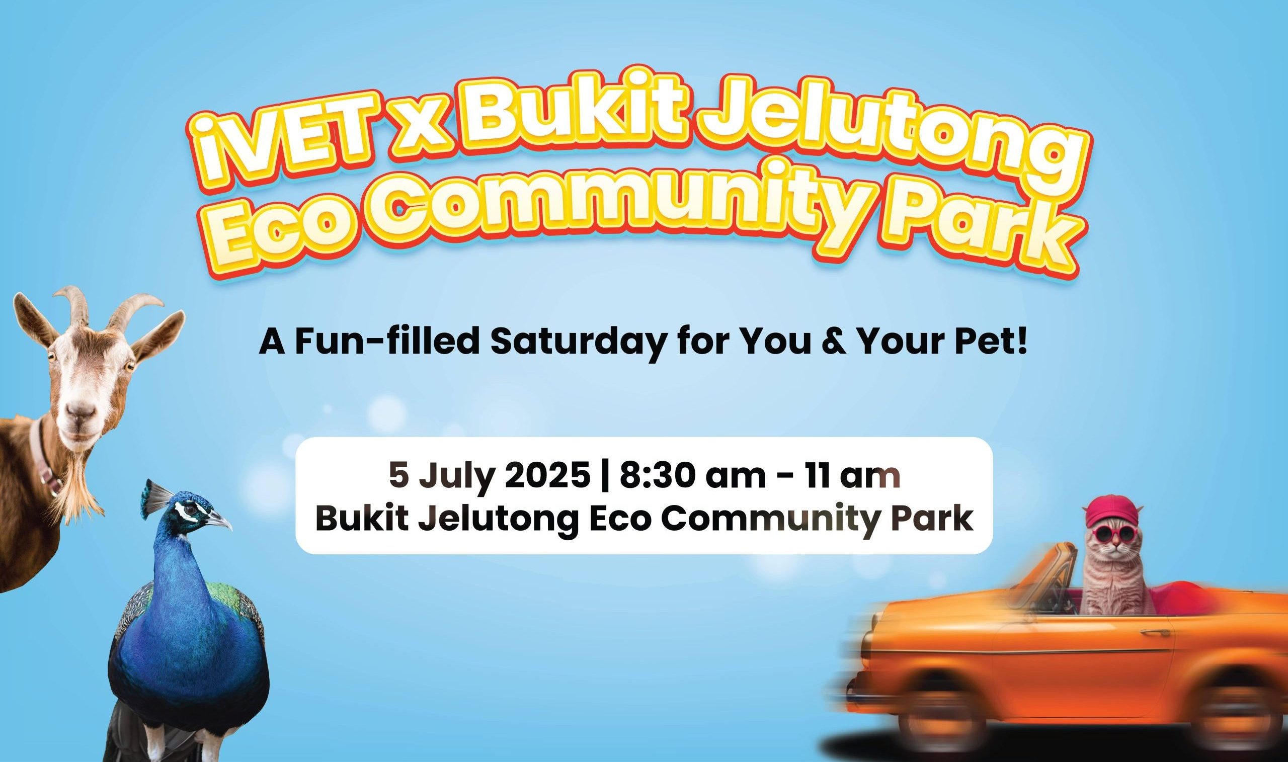 Flyers iVET X ECOPARK BJ-02-03 (2)